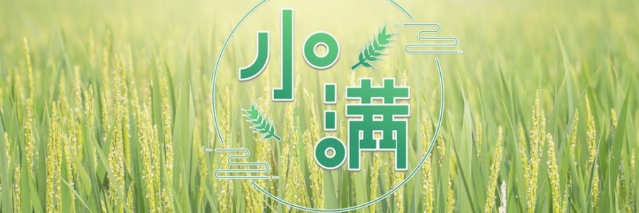 小滿 | 萬物漸豐，小得盈滿