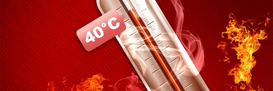 真的會“熱死人”！這個“夏天殺手”要警惕！